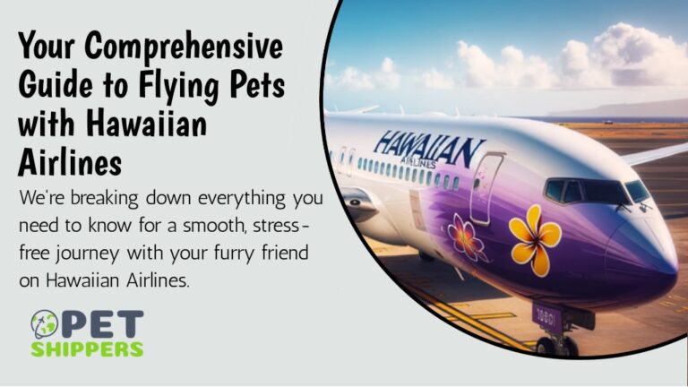 pet travel with frontier