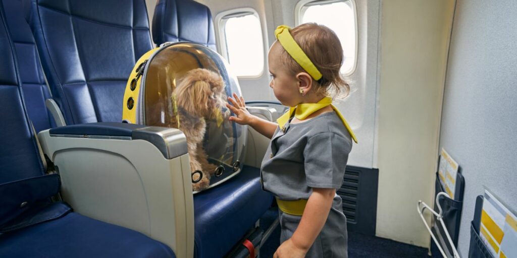 pet travel with united airlines