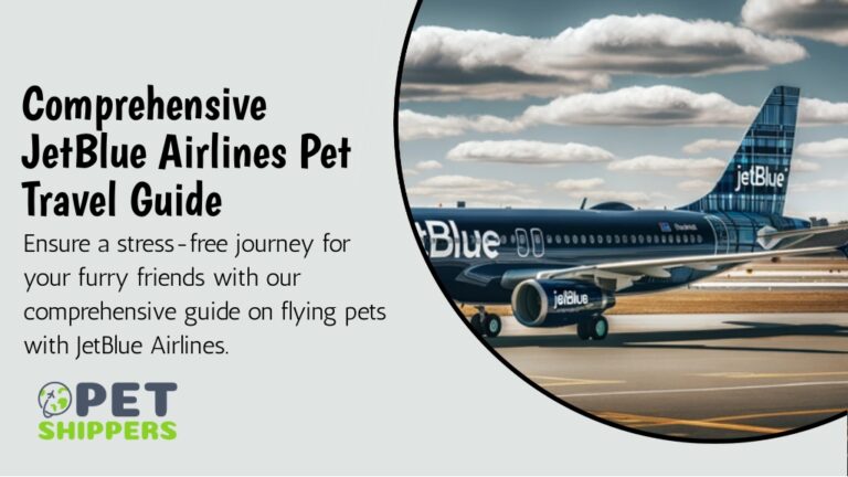 pet travel with united airlines