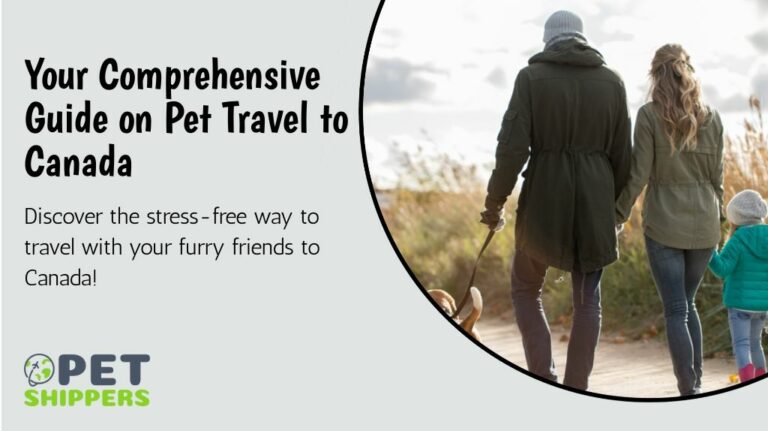 pet travel frontier